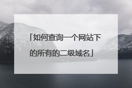 如何查询一个网站下的所有的二级域名
