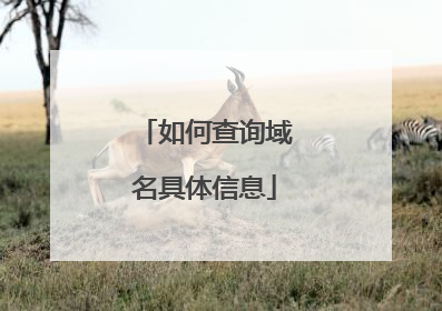 如何查询域名具体信息