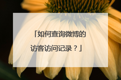 如何查询微博的访客访问记录?