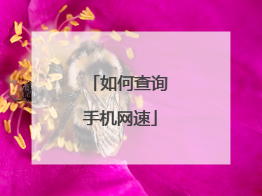 如何查询手机网速