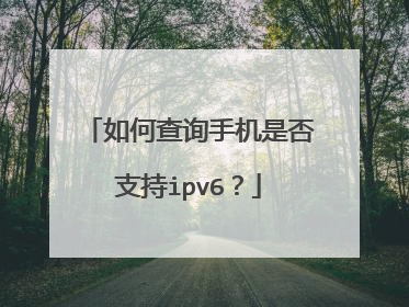 如何查询手机是否支持ipv6?
