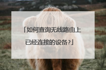 如何查询无线路由上已经连接的设备?