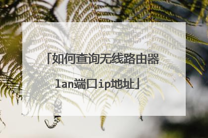 如何查询无线路由器lan端口ip地址