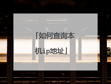 如何查询本机ip地址