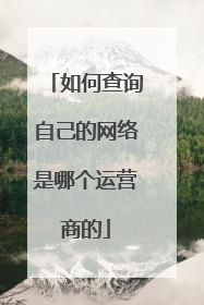 如何查询自己的网络是哪个运营商的