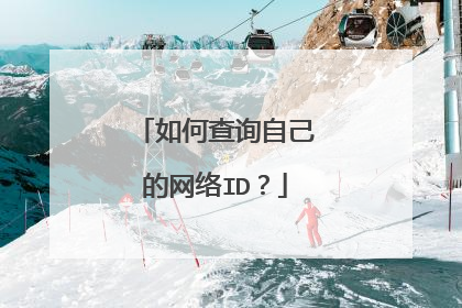 如何查询自己的网络ID？