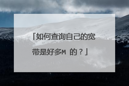如何查询自己的宽带是好多M 的?
