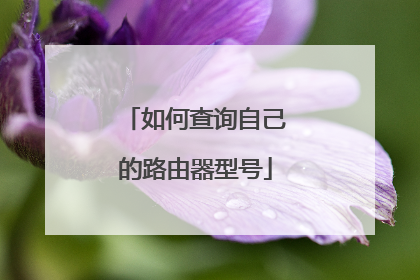 如何查询自己的路由器型号