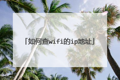 如何查wifi的ip地址