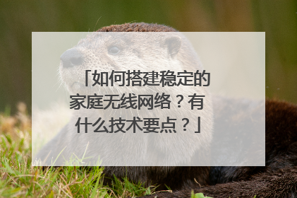 如何搭建稳定的家庭无线网络？有什么技术要点？