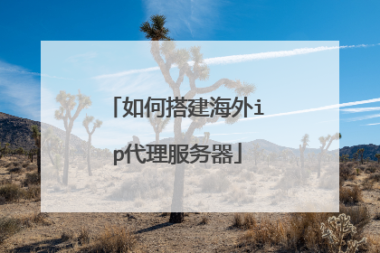 如何搭建海外ip代理服务器