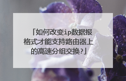 如何改变ip数据报格式才能支持路由器上的高速分组交换?
