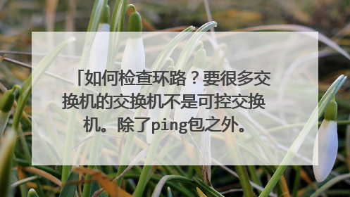 如何检查环路？要很多交换机的交换机不是可控交换机。除了ping包之外。还有高招吗？求解！！！