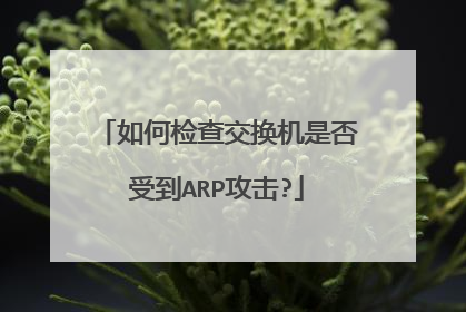如何检查交换机是否受到ARP攻击?