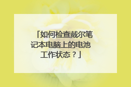 如何检查戴尔笔记本电脑上的电池工作状态？
