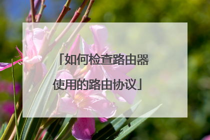 如何检查路由器使用的路由协议