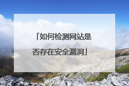 如何检测网站是否存在安全漏洞