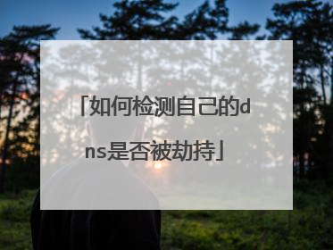 如何检测自己的dns是否被劫持