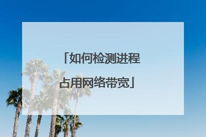 如何检测进程占用网络带宽