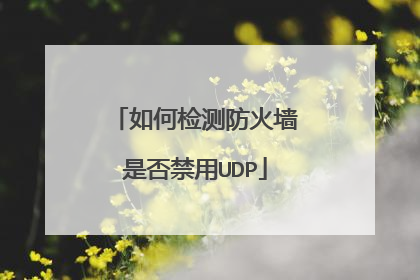 如何检测防火墙是否禁用UDP