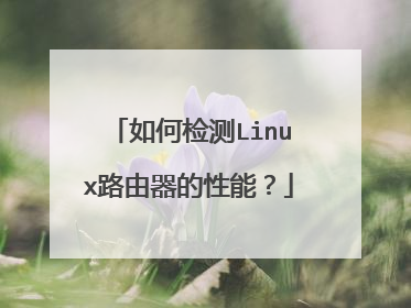 如何检测Linux路由器的性能?