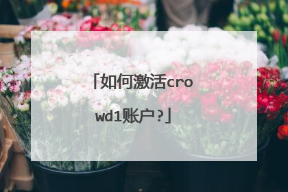 如何激活crowd1账户?