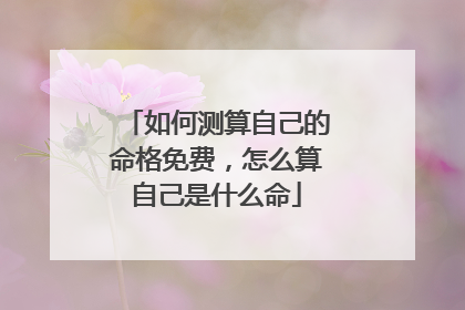 如何测算自己的命格免费,怎么算自己是什么命