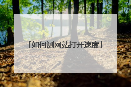 如何测网站打开速度