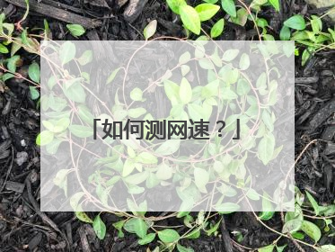 如何测网速？