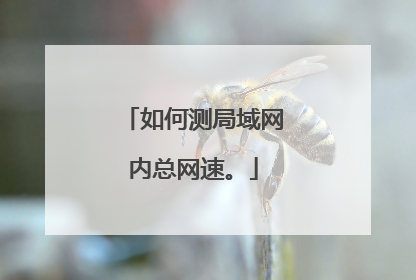 如何测局域网内总网速。