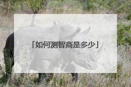 如何测智商是多少