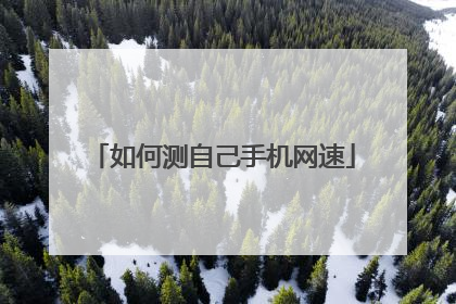 如何测自己手机网速