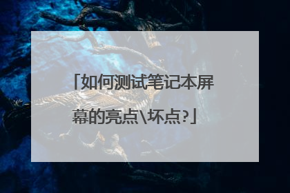 如何测试笔记本屏幕的亮点坏点?