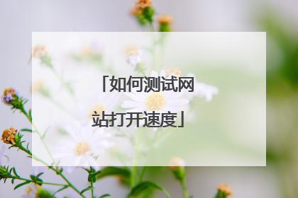 如何测试网站打开速度