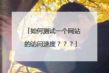 如何测试一个网站的访问速度???