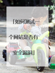 如何测试一个网站是否有安全漏洞