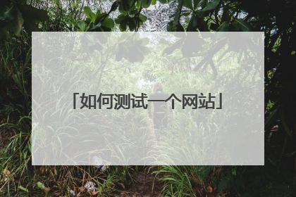 如何测试一个网站