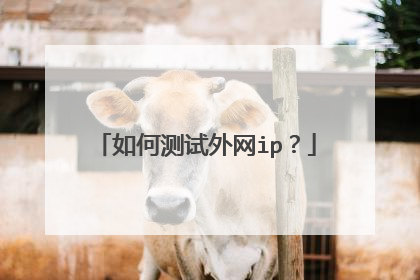 如何测试外网ip?