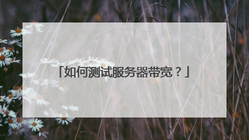 如何测试服务器带宽?