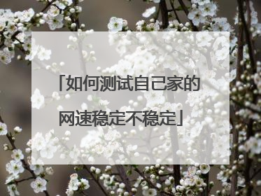 如何测试自己家的网速稳定不稳定