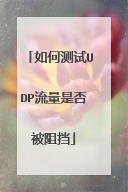 如何测试UDP流量是否被阻挡