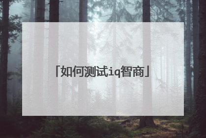 如何测试iq智商