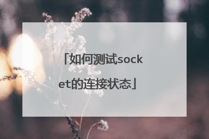 如何测试socket的连接状态