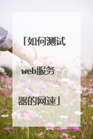 如何测试web服务器的网速