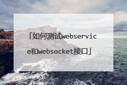 如何测试webservice和websocket接口