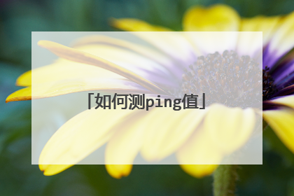 如何测ping值