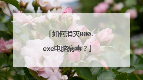 如何消灭000.exe电脑病毒?