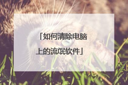 如何清除电脑上的流氓软件