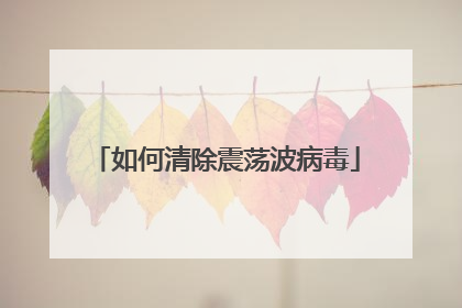 如何清除震荡波病毒