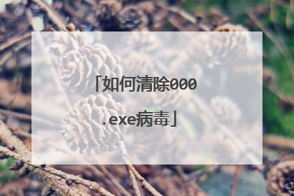 如何清除000.exe病毒